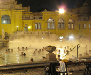 The Origins of the Bathhouse Culture in the World