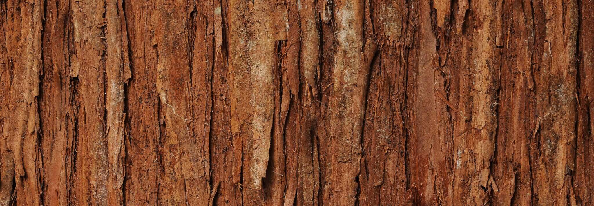 Benefits of Cedarwood