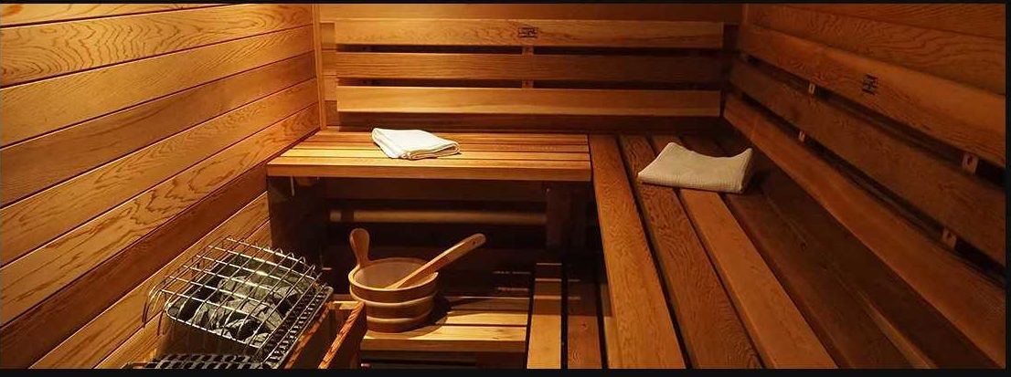 Cedar Saunas for Sale: The Rebirth PRO Experts 